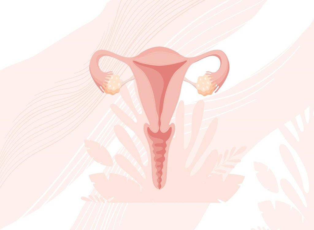 endometrium kanseri evreleri