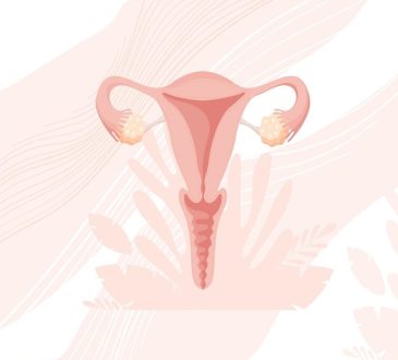 endometrium kanseri evreleri