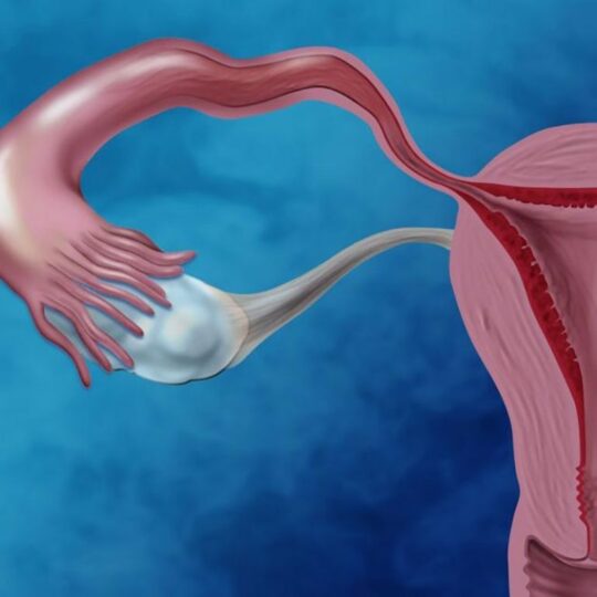 endometrium kanseri