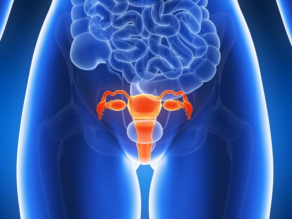 endometrium kanseri yaşam süresi